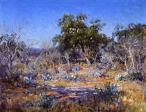 A January Day in the Brush Country - Robert Julian Onderdonk
