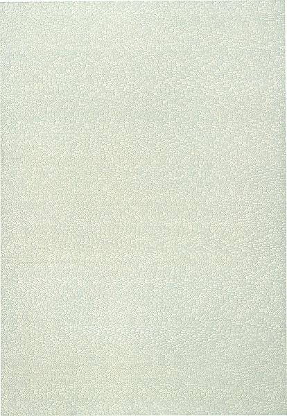 1965/1 - ∞, Detail 868149-893746, c.1965 - c.1971 - Roman Opalka