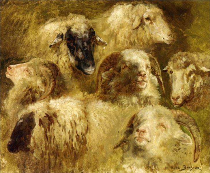 Heads of Ewes and Rams - Роза Бонёр