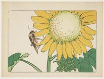Grasshopper and sunflower - Shibata Zeshin