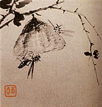 Studies of insects, wasps - 石濤