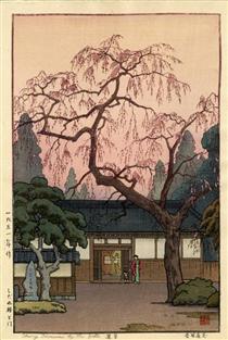 Cherry Blossom by the Gate - Toshi Yoshida