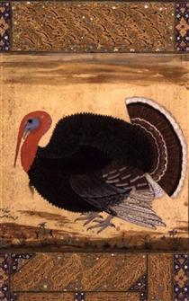 A turkey-Cock Brought to Jahangir from Goa in 1612 - Мансур
