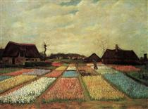 Champs de fleurs en Hollande - Vincent van Gogh