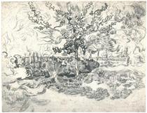 Garden of the Asylum - Vincent van Gogh