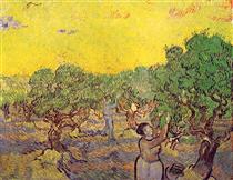 Olive Grove with Picking Figures - Vincent van Gogh