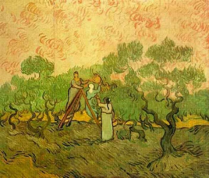 Olive Picking, 1889 - Винсент Ван Гог