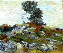 The Rocks with Oak tree - Винсент Ван Гог