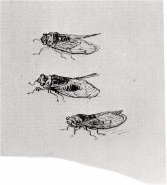 Three Cicadas, 1889 - 梵谷