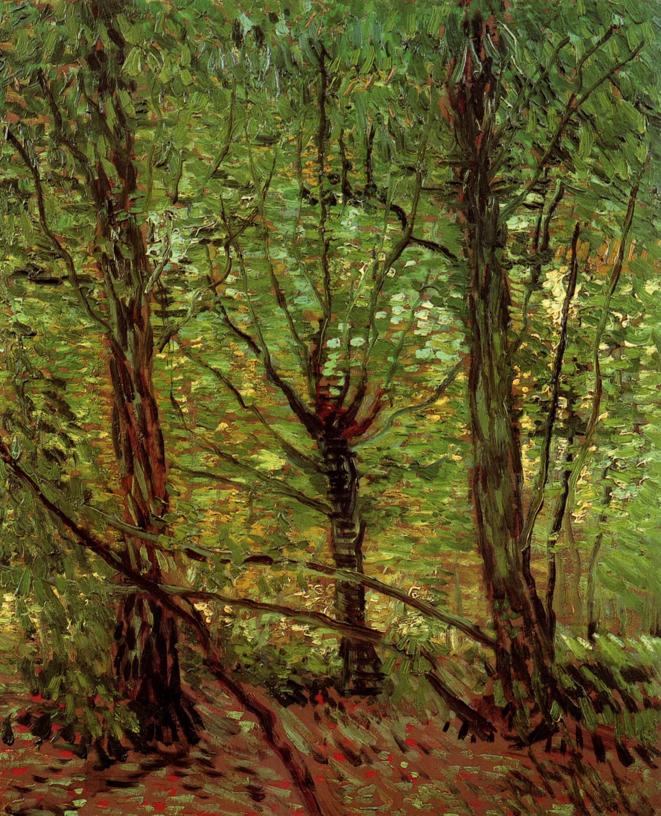 Trees and Undergrowth, 1887 - Vincent van Gogh - WikiArt.org