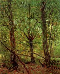 Trees and Undergrowth - Вінсент Ван Гог