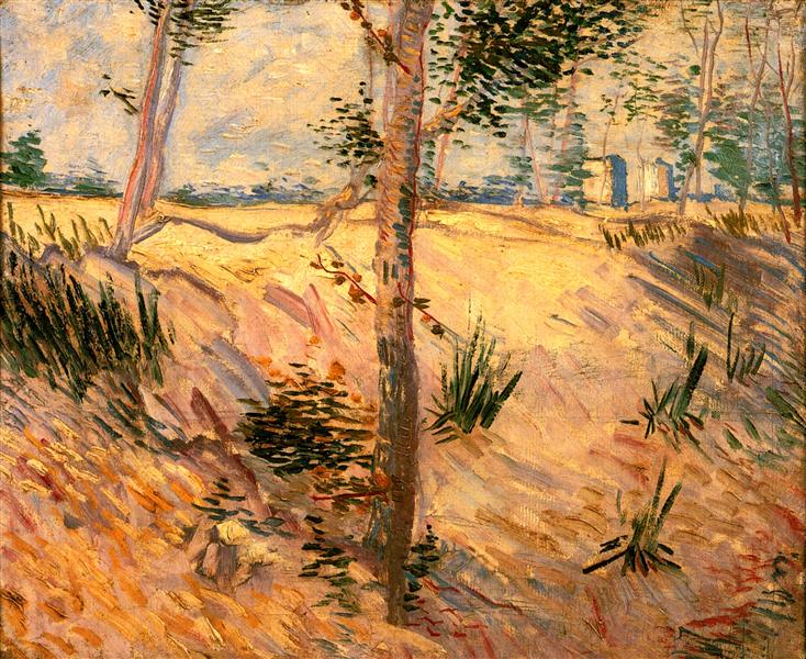 Trees in a Field on a Sunny Day, 1887 - Вінсент Ван Гог