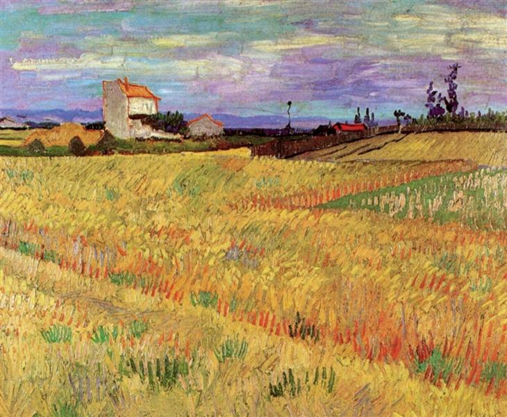 Пшеничне поле, 1888 - Вінсент Ван Гог