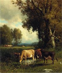 Cows in the Meadow - William Hart