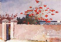 A wall, Nassau - Winslow Homer