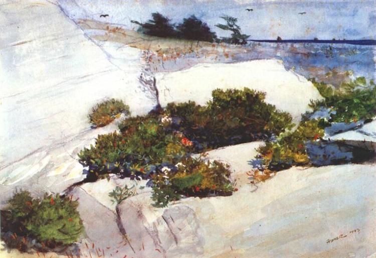 Maine Cliffs, 1883 - Уинслоу Хомер