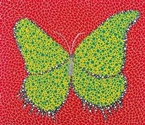 Butterfly - Yayoi Kusama